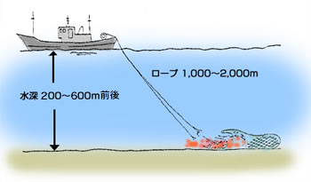 gyohou01