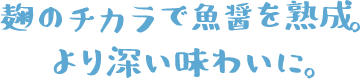 麹のチカラで漁醤を熟成　より深い味わいに