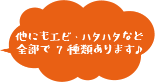 他にもエビ、ハタハタなど全部で7種類あります