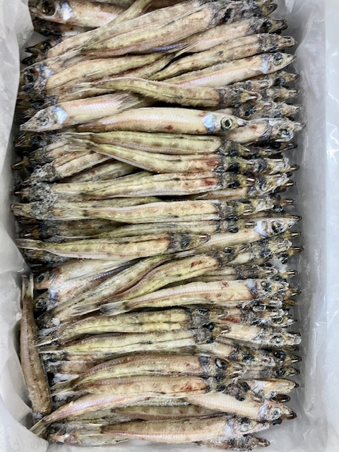 旨干しニギス小小(約180尾入り）業務用