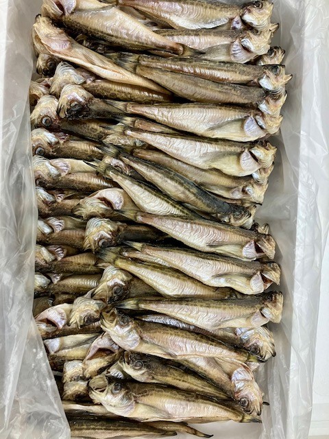 旨干しハタハタ特大（約100尾入り・約19㎝）業務用