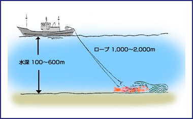 沖合底びき網漁業