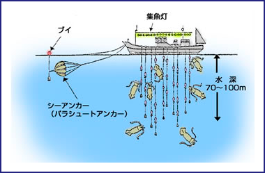 沿岸いかつり漁業