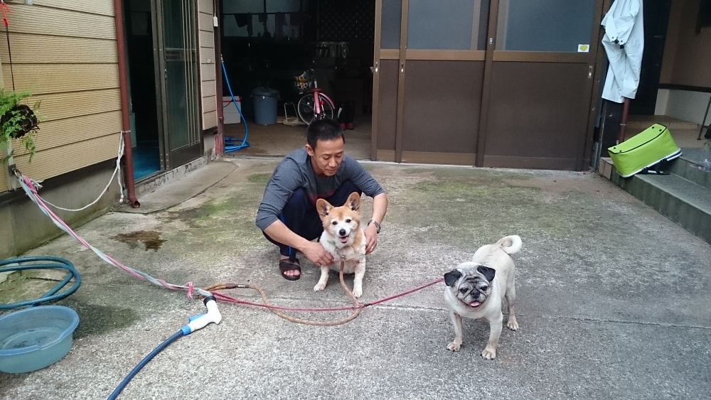 二匹の犬と戯れる山本さん